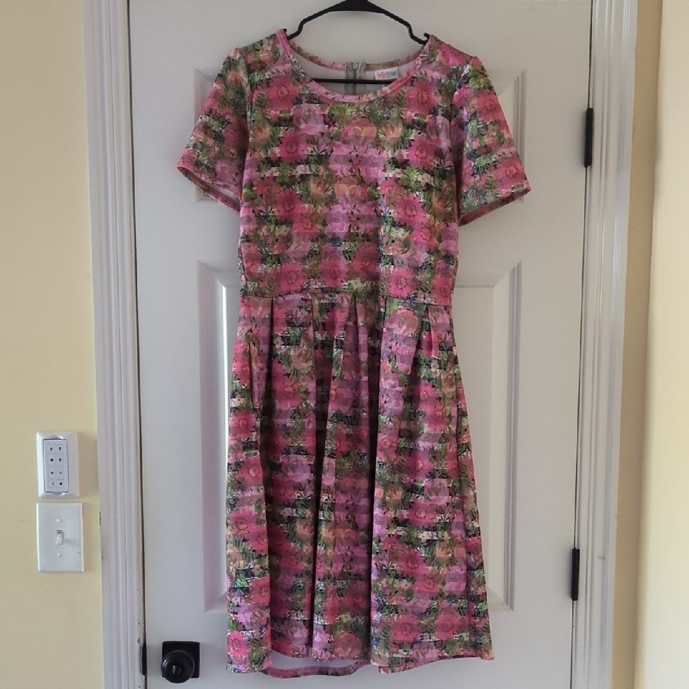 LuLaRoe Pink and Green Floral Amelia Dress